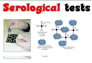 serological test for antigens