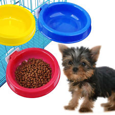 Food-and-Water-in-Dog-Cage