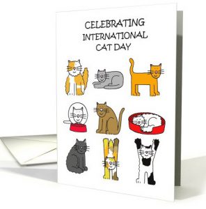 celebrating international cat day