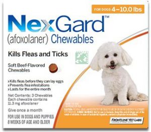 Nexgard chewables for dog