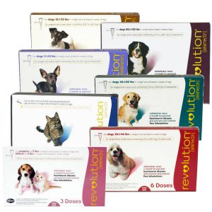 revolution cats and dogs treatment