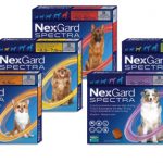Nexgard Spectra all packs