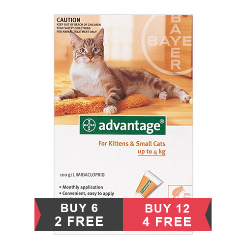 Advantage coupons for cats