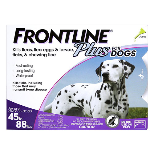 Buy Frontline Plus for Dogs Free Shipping BudgetPetWorld