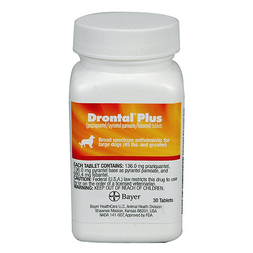 Cleanaural For Cats Reviews Cleanaural For Cats Reviews