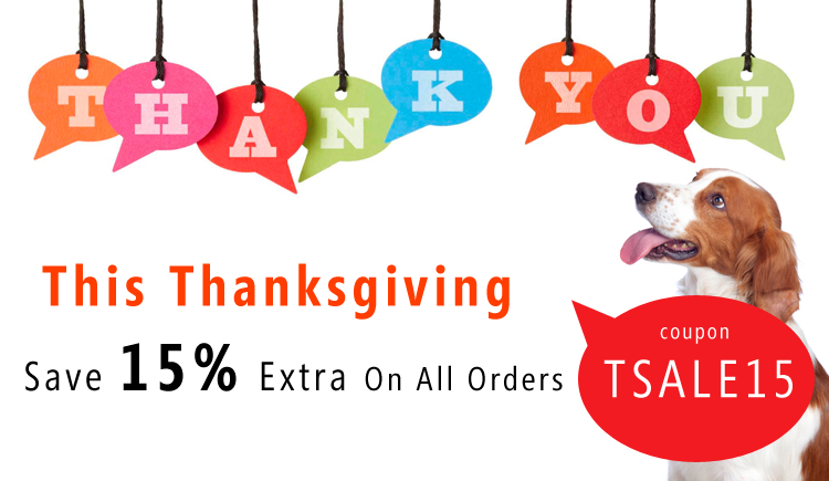 Thanksgiving Sale