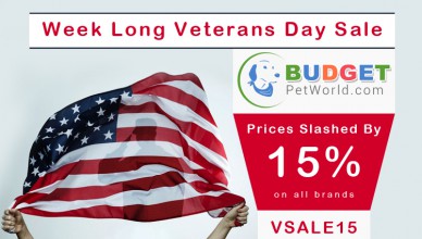 Week Long Veterans Day Sale