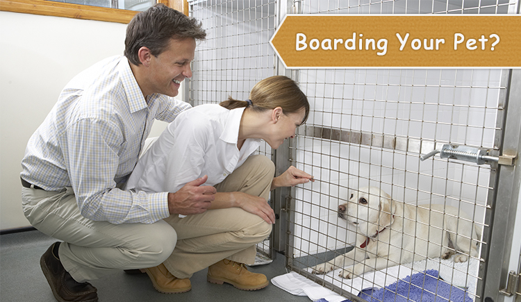 Boarding Your Pet?