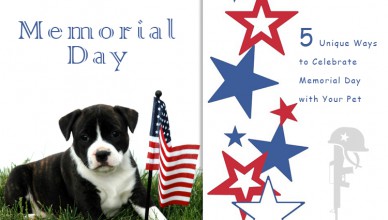 Memorial Day Celebration
