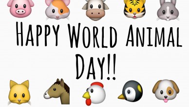 world animal day