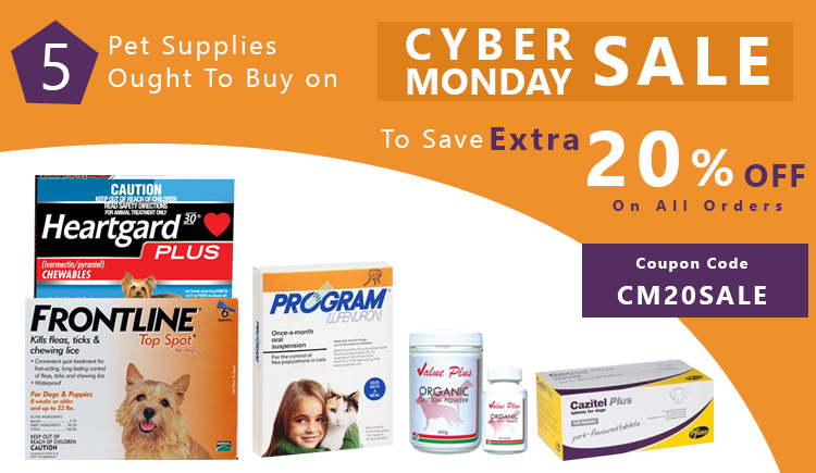 Cyber Monday Sale For Pets