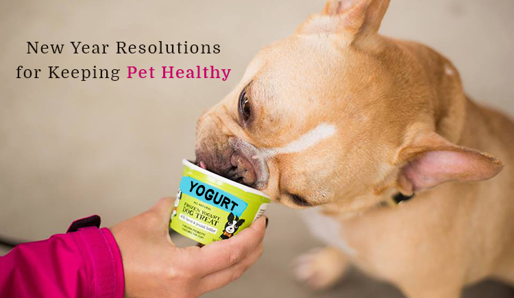 New Years Resolution for Pets