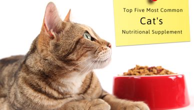 Cats Nutritional Supplement