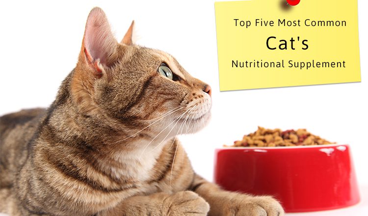 Cats Nutritional Supplement