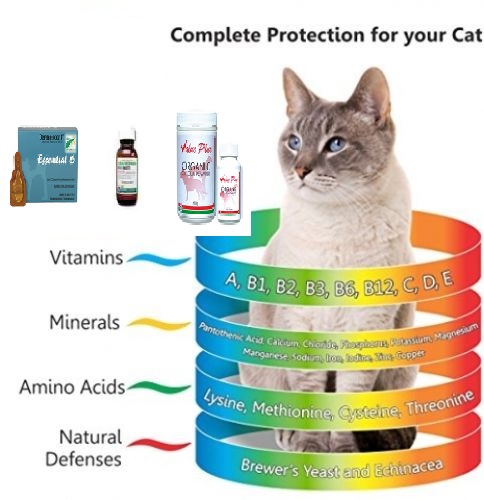 Top Five Most Common Cat’s Nutritional Supplement - BudgetPetWorld
