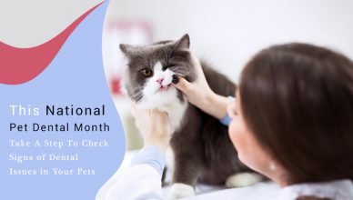 National Pet Dental Month