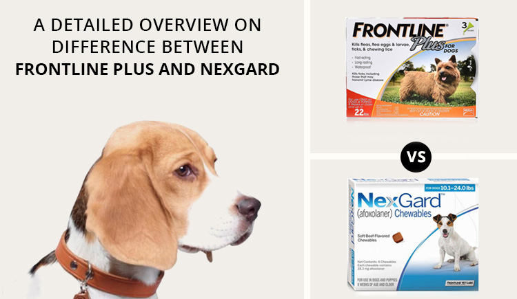 Difference Between Frontline Plus and Nexgard