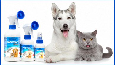 Why Frontline Spray Is Good For Your Pets - BudgetPetWorld.com