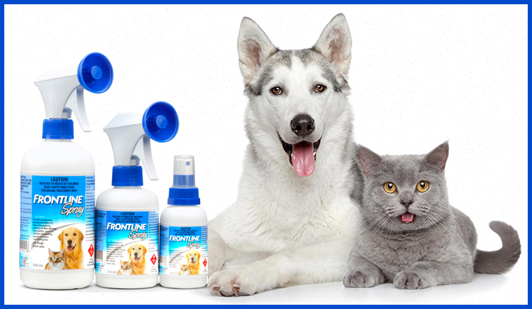 Why Frontline Spray Is Good For Your Pets - BudgetPetWorld.com