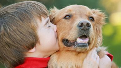 Happy pet with owner