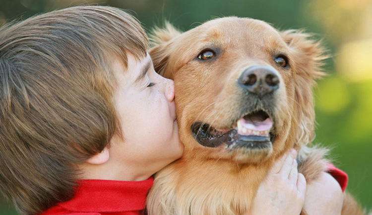 Happy pet with owner