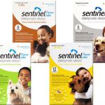 Sentinel for dogs all packs