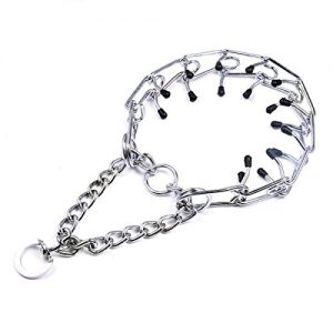 Prong Collar of dogs