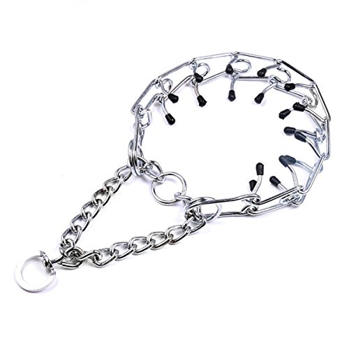 Pros And Cons Of A Dog’s Collars BudgetPetWorld