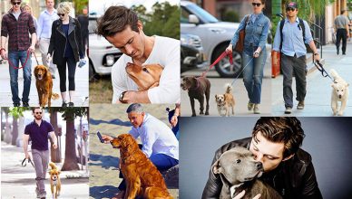 7 HOLLYWOOD STARS WHO ARE MADLY IN LOVE WITH DOGS
