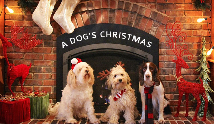 A Dog's Christmas