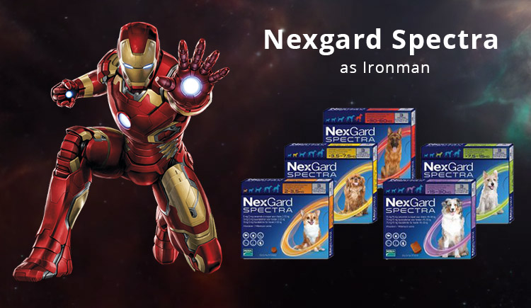 Buy Nexgard Spectra The Iron Man