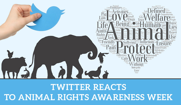 Twitter Reacts to animal rights awareness week