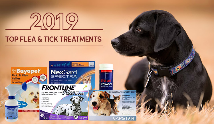 2019 Top Flea an tick treatments