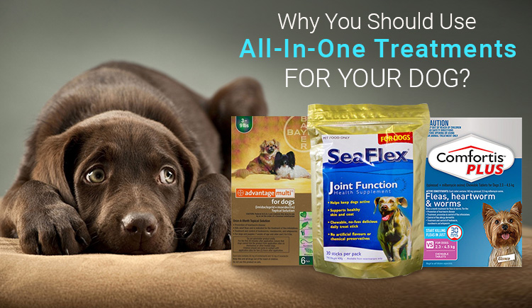 All in one treatment for your dog
