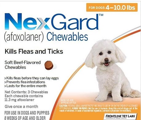 Buy Nexgard for Dogs