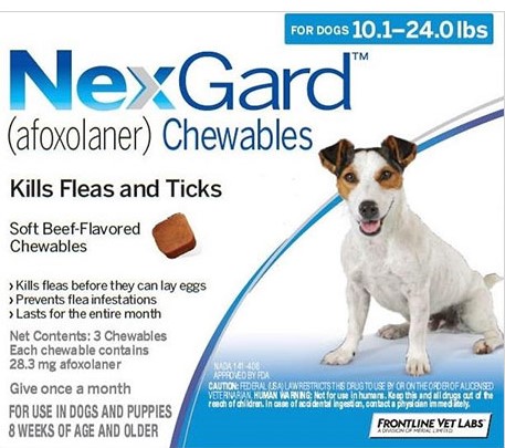 Nexgard – The Ultimate Treatment for your pet