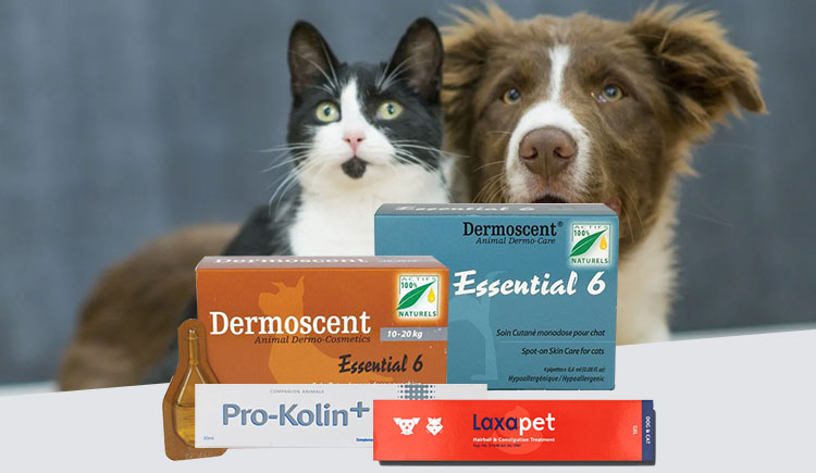 Best Nutritional Supplements for your pets