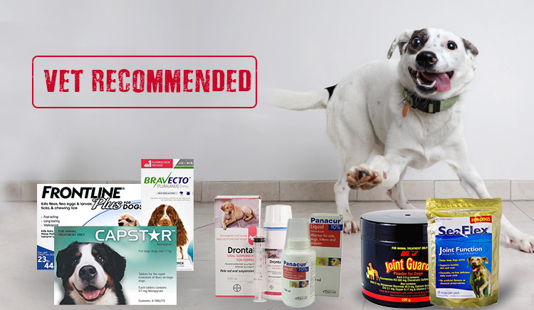 Vet Recommended Pet Supplies for Dogs