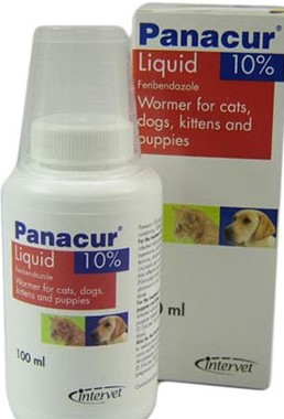 Buy Panacur Oral Suspension