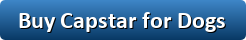 Buy Capstar for Dogs