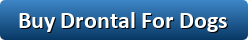 Buy Drontal for dogs