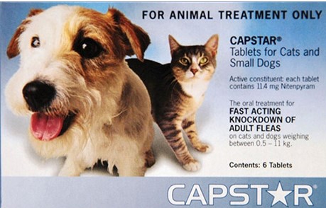 Buy Capstar for Dogs
