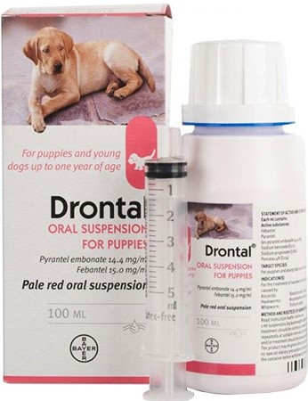 Buy Drontal for dogs