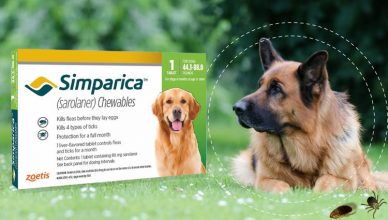 Simparica Oral Flea & Tick Preventive for Dogs