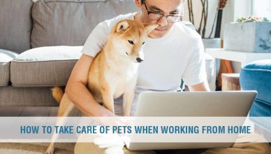 How to care pets when Working from home