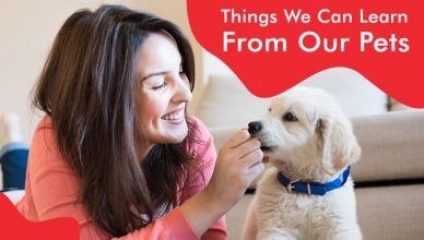 Things We can Learn from our pets