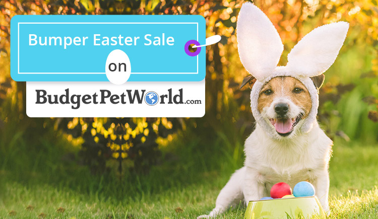 BPW-Bumper-Easter-Sale