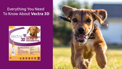 Everything You Need To Know About Vectra 3D