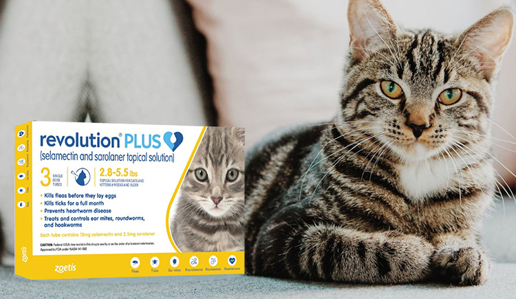 Revolution Plus = The 6 in 1 Protection Treatment For Cats