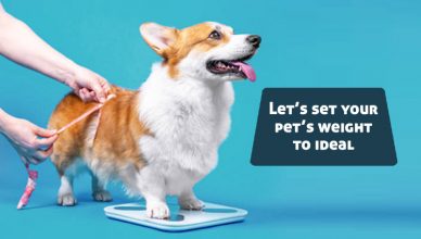 Let's Set Your Pet's Weight to Ideal